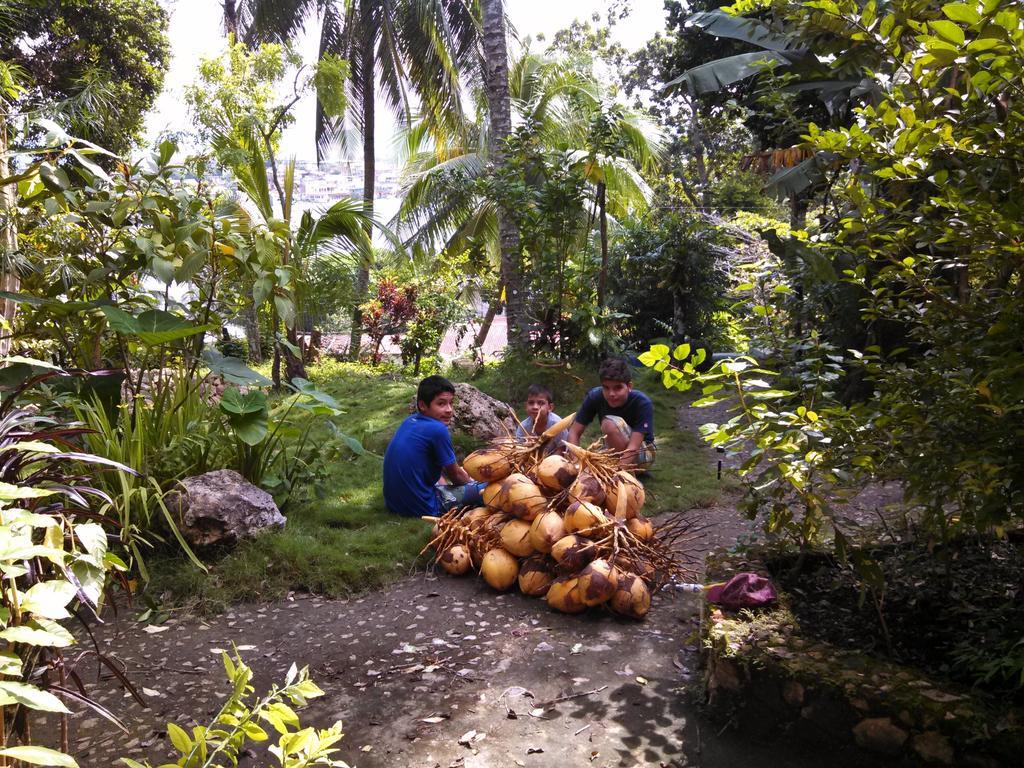 Zapote Tree Inn Flores Luaran gambar